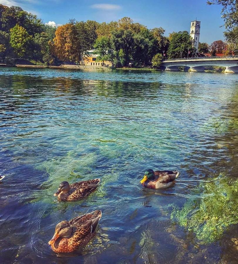 Apartman River Una Bihać Zewnętrze zdjęcie
